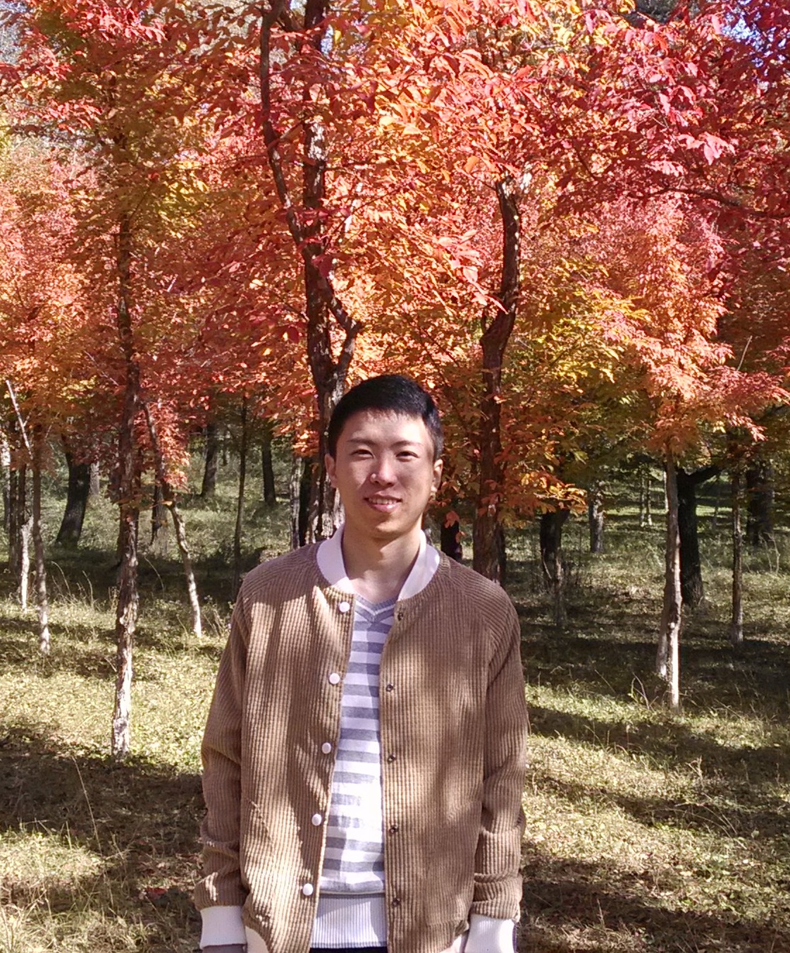 image_gallery-25
